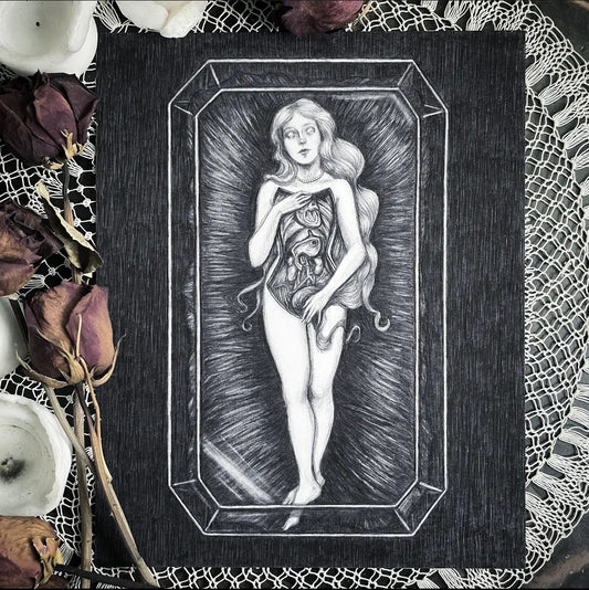 Anatomical Venus Fine Art Print